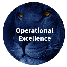 circle-operational-excellence